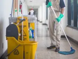 Join the Housecleaning Workforce in South Africa