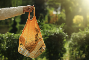 The Rise of Eco-Friendly Shoppers: A Growing Demand for Sustainable Products